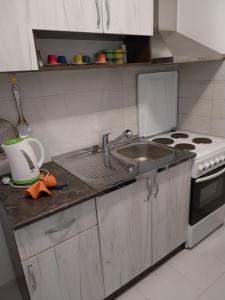 Kuchyň nebo kuchyňský kout v ubytování Novak Apartment