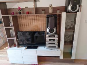 TV a/nebo společenská místnost v ubytování Novak Apartment