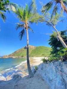 two palm trees on a beach near the ocean at Pousada Alto da Prainha in Rio de Janeiro