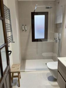 baño con ducha y aseo y ventana en Apartamentos Turisticos La vida de antes, en Consuegra