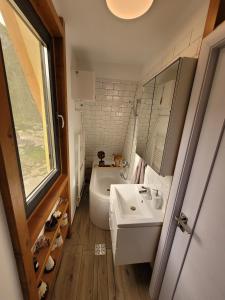 a bathroom with a sink and a toilet and a tub at Casuta Floare de Fan in Trăisteni