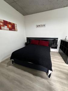 ein Schlafzimmer mit einem schwarzen Bett mit zwei roten Kissen in der Unterkunft Serene Haven Retreat in Buenos Aires