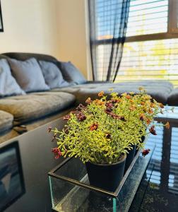uma mesa com dois vasos de plantas em cima dela em Brand New Apartment, Top Location-Near VIC/Danube em Viena