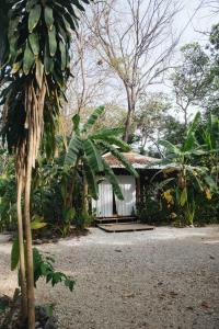 a house with a palm tree in front of it at Zeneidas Surf Garden in Santa Teresa Beach