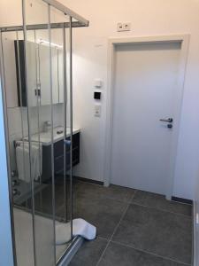 a glass shower door in a bathroom with a sink at Zweizimmer-Apartment in Buchenberg
