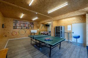 BuchenbergにあるWohnung-mit-Panoramablickの卓球台付きの部屋