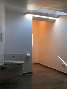a bathroom with a toilet and a light on the wall at Zweizimmer-Apartment in Buchenberg