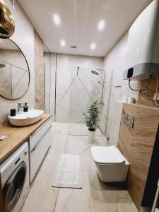 a bathroom with a sink and a toilet and a shower at agroturystyka Drużno in Elblag