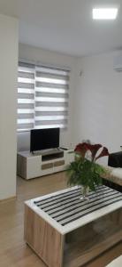 ヴィシェグラードにあるApartman Maniのソファとテーブルのあるリビングルーム