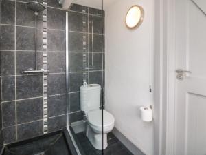 un baño con inodoro y ducha en An Skyber, en Penzance 34 fotos más