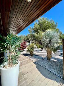 un patio con un mucchio di piante in vaso di Mas des Cigales a Eygalières