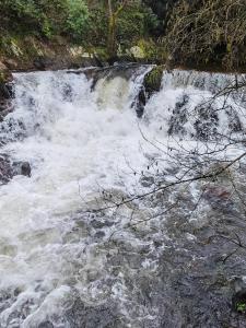 a river with white rushing water on the rocks at Acea do Bubal in Os Peares