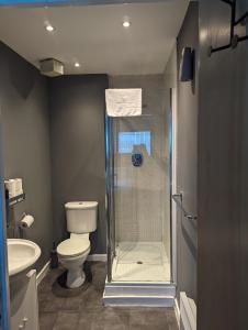 a bathroom with a shower with a toilet and a sink at The Pinnacle 4/5 in Glasgow