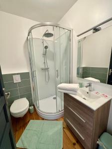 a bathroom with a shower and a toilet and a sink at Gîte de la petite tour in Pontorson