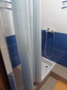 y baño con cortina de ducha y aseo. en Appartement lumineux, en Kouba