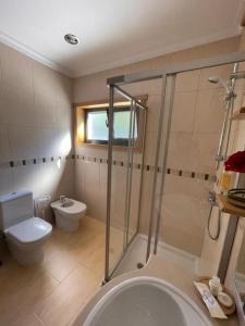 un bagno con doccia, WC e lavandino di Casa da Quinta - T1 a Tabuaço