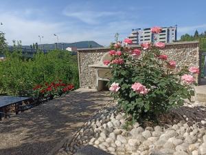 a stone wall with a bench and pink roses at Apartments Aldi in Mostar