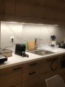 Kuchyň nebo kuchyňský kout v ubytování Chrysa- Kyra Apartments