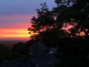 a sunset with a tree on top of a hill at The Old Farmhouse B&B in Dyffryn