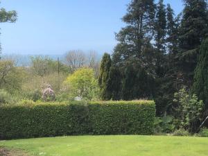 a garden with green hedges and trees in the background at The Old Farmhouse B&B in Dyffryn