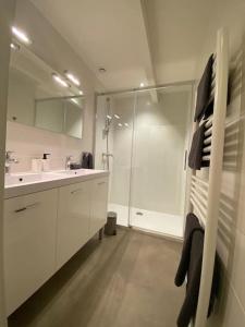 a white bathroom with a shower and a sink at Sympathique T3 cœur de village in Viuz-en-Sallaz