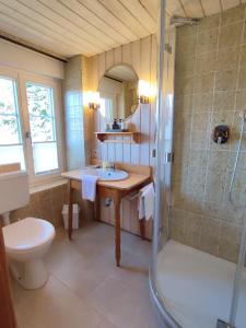 a bathroom with a shower and a sink and a toilet at Boutique-Hotel Krone in Denzlingen