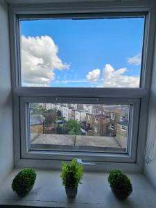 a window with two potted plants on a window sill at Cozy and Small Studio Zone 2 near Maida vale 6 in London