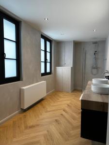 a bathroom with a sink and a counter top at Villa Frans Luxe appartement 4 slpk in Ostend