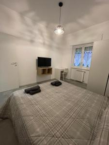 een slaapkamer met een groot bed en een televisie bij Maison Cristina in Lido di Ostia