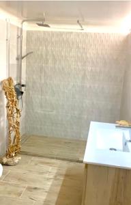 bagno con lavandino e doccia di Villa les colombes a La Colle-sur-Loup