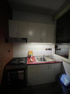 een kleine keuken met een fornuis en een wastafel bij Reka Apartment in Tirana