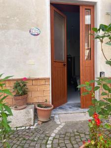 una puerta abierta de una casa con dos macetas en Ortensia Apartment, en Giungano