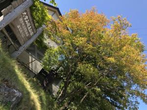 a tree in front of a building at Mount View Hotel - Vacation STAY 40090v in Kamikawa