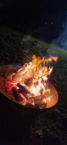 Fotografie z fotogalerie ubytování U MARTUŚKI DOMKI POKOJE POD LASEM v destinaci Stegna