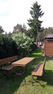 Zahrada ubytování U MARTUŚKI DOMKI POKOJE POD LASEM