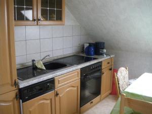 cocina pequeña con fregadero y fogones en Ferienwohnung Teutschenthal OT Langenbogen, en Teutschenthal