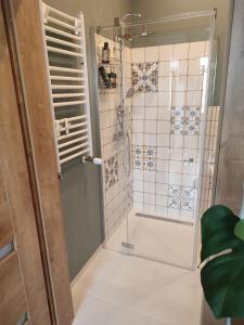eine Dusche mit Glastür im Bad in der Unterkunft Zielona Przystań in Boruja