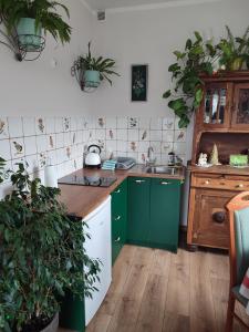 eine Küche mit grünen Schränken und einem Waschbecken in der Unterkunft Zielona Przystań in Boruja