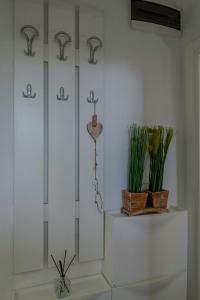 Fotografie z fotogalerie ubytování Vila apartment Astorija 2 v destinaci Podgorica