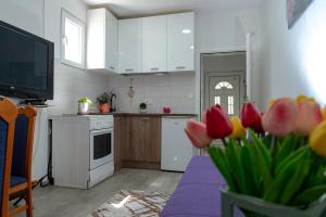 Kuchyň nebo kuchyňský kout v ubytování Vila apartment Astorija 2