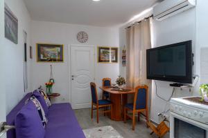 TV a/nebo společenská místnost v ubytování Vila apartment Astorija 2