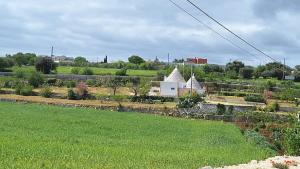 Zahrada ubytování Trullo Masiello