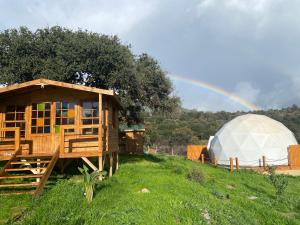 Zahrada ubytování Bodrum Dome Suites