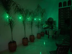 a room with four potted plants and green lights at Riad Maya in Rabat