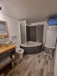uma casa de banho com uma banheira, um WC e um lavatório. em Le Guichard - Wifi - Parking - Terrasse em Clermont-Ferrand