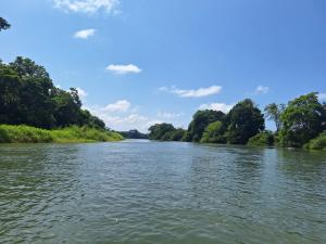 Un río con árboles a ambos lados. en TARPON LODGE PARISMINA en Jaloba