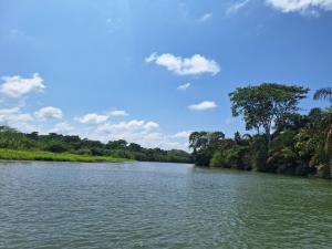 Jaloba的住宿－TARPON LODGE PARISMINA，一条有树的河