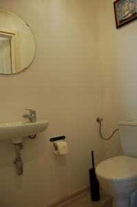 a bathroom with a toilet and a sink and a mirror at Domki Kurka Wodna in Dębki