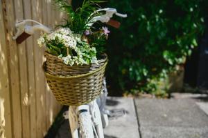 a basket on a bike with a plant in it at "Ideal Location" Superb Townhouse & Garden -5min Walk to City, Beach, Marina - Quiet Popular Area in Swansea