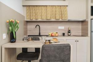 Кухня или мини-кухня в Apartment Remy
